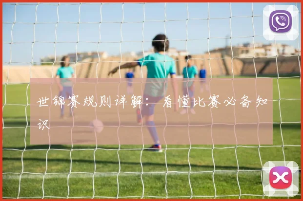 世锦赛规则详解:看懂比赛必备知识