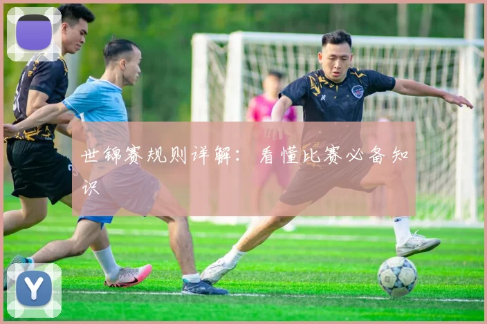 世锦赛规则详解：看懂比赛必备知识
